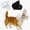 White, variant on Dogs Head Protector, Dogs Mesh Head Net for Small & Medium Dog, Adjustable Head Guard Mesh Head Guard, Dog Soft Net Masks for Outdoor Hiking Camping, Breathable Mesh Muzzles for Animals
