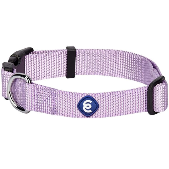Collar para perro Blueberry Pet mediano ajustable color lavanda de nailon