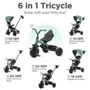 QPlay 6 in 1 Toddlers Tricycle for Ages Baby 10 Months-6 Years, Adjustable Parent Push Handle, Removable Canopy, 5-Point Harness, Rear Wheel Brakes