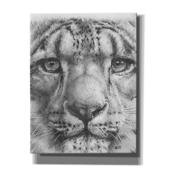 Epic Graffiti 'Up Close Snow Leopard' by Barbara Keith, Canvas Wall Art, 26"x34"