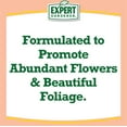 Expert Gardener Azalea, Camellia & Rhododendron Plant Food Fertilizer