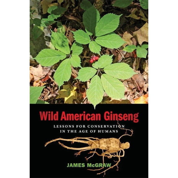 Wild American Ginseng: Lessons for Conservation in the Age of Humans, (Hardcover)
