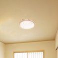 thumbnail image 2 of MLINS Pendant Lamp Shade for Ceiling Light Replacement 1 Set Anti Glare Lamp Cover for Ceiling Lamps Hanging Lamp Shade Cover, 2 of 9