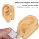 thumbnail image 3 of Modelo De Oreja De Silicona, Modelo De Práctica De Perforación De Oreja Ligero, Flexible Y Realista, 1 Par Para Exhibición De Aretes, 3 of 7