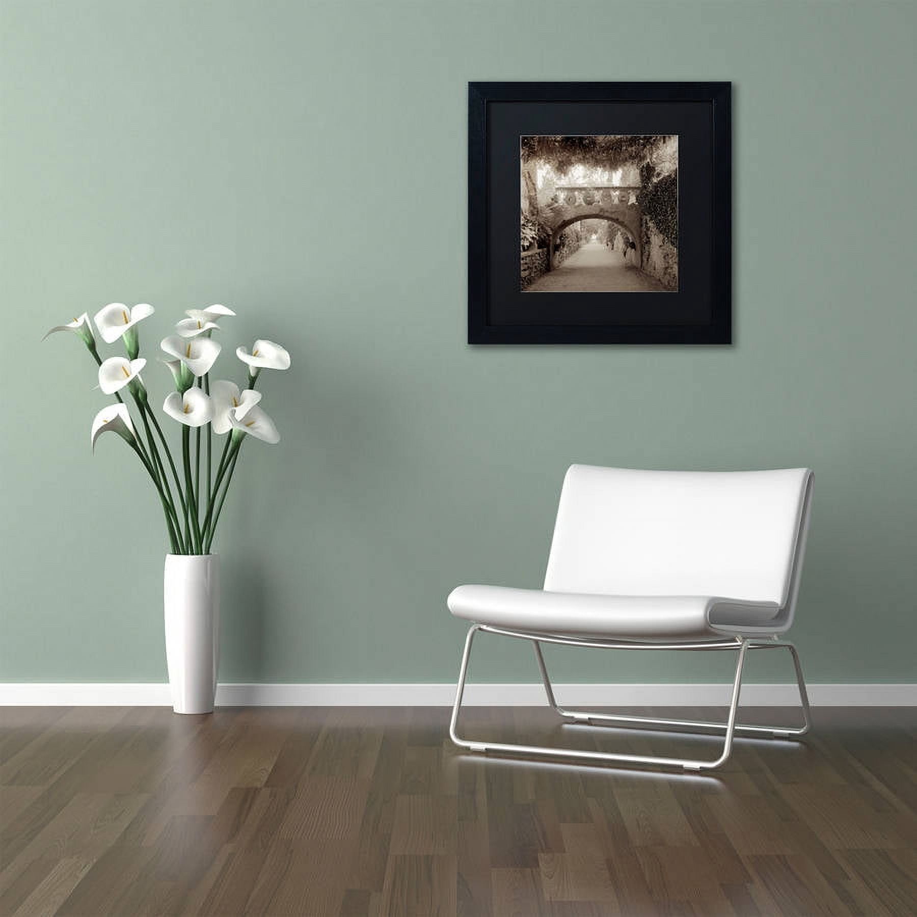 Trademark Fine Art "Giardini Italiano VI" Canvas Art by Alan Blaustein, Black Matte, Black Frame