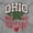 Sport Grey, variant on Ohio Stenciled Buckeye Leaf OH Cool Unisex Plus Fleece Graphic Hoodie Brisco Brands 2X