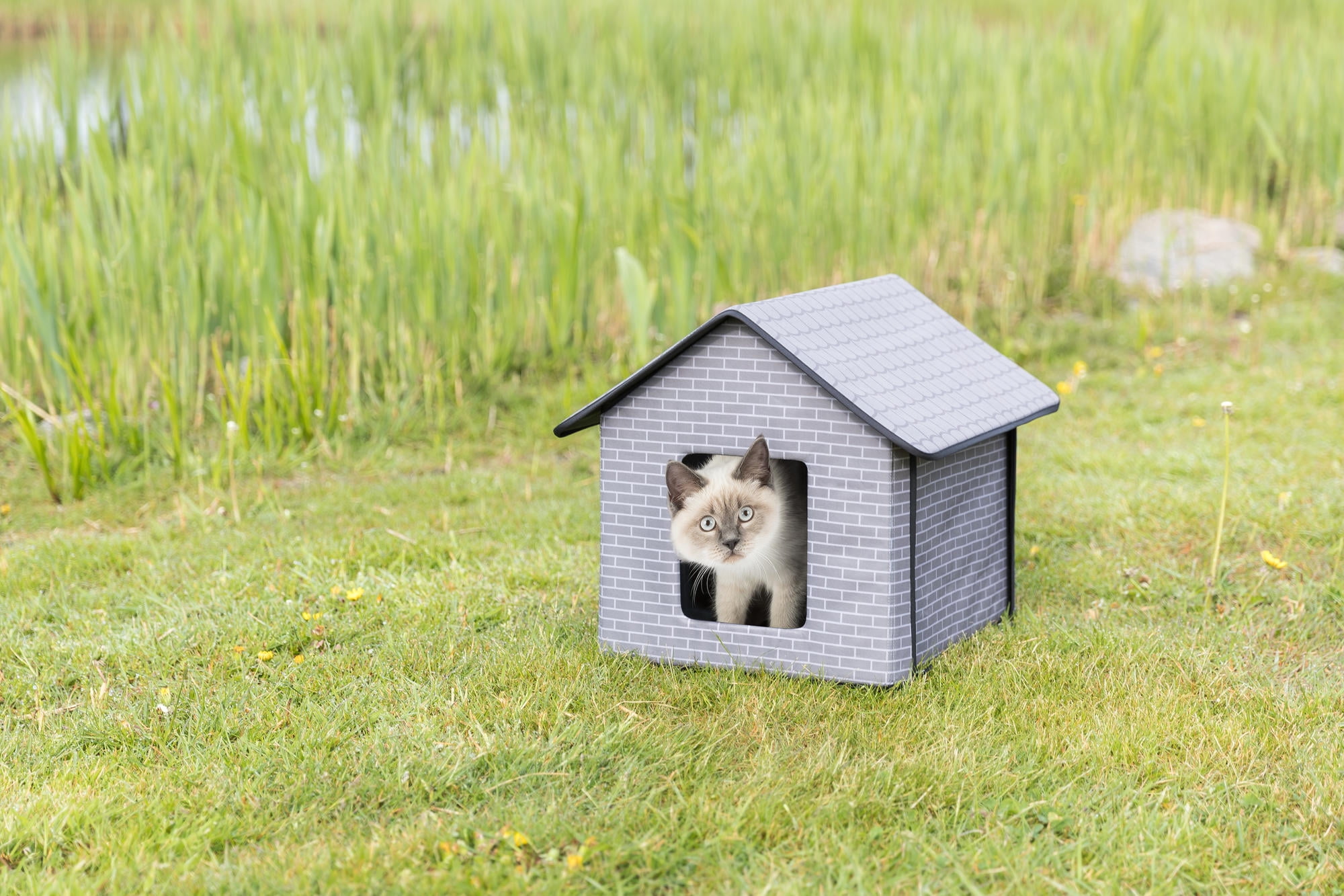 TRIXIE 1-Story Insulated Waterproof Material Small Indoor-Outdoor Cat House with Door Flaps, Gray
