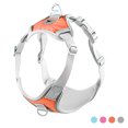 thumbnail image 1 of Arnés Para Perros Sin Tirones Arnés Reflectante Para Cachorros Chaleco Ajustable Para Mascotas Con Anillo En D De Metal Para Perros Pequeños Y Medianos Yuarrent PT002427-02, 1 of 1