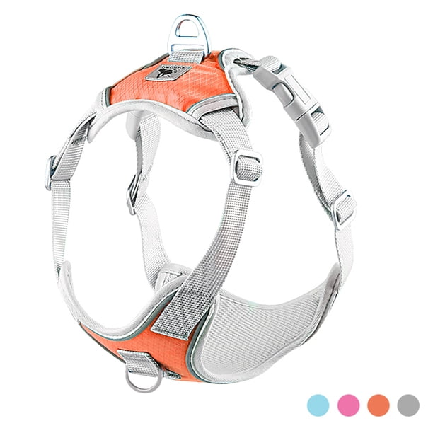 Arnés Para Perros Sin Tirones Arnés Reflectante Para Cachorros Chaleco Ajustable Para Mascotas Con Anillo En D De Metal Para Perros Pequeños Y Medianos Minnieouse PT002427-02