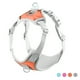 thumbnail image 1 of Arnés Para Perros Sin Tirones Arnés Reflectante Para Cachorros Chaleco Ajustable Para Mascotas Con Anillo En D De Metal Para Perros Pequeños Y Medianos Minnieouse PT002427-02, 1 of 1