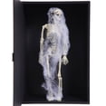 thumbnail image 3 of Esqueleto Cuerpo Halloween Realista para Interior Y Exterior, 3 of 9