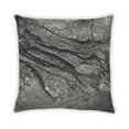 thumbnail image 1 of Ahgly Company Earth Rock Indoor Throw Pillow, 18 inch by 18 inch, 1 of 5