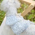 thumbnail image 2 of Adorable Pet Clothes for Cats & Small Dogs - Charming Spring & Autumn Wear, 2 of 2