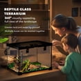 thumbnail image 4 of PawHut Glass Reptile Terrarium, Jumping Spider Enclosure, 12"x12"x8", 4 of 10