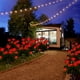 thumbnail image 5 of (Rojo) Paquete de 2 luces solares decorativas para exteriores, impermeables, 2 V, luces solares LED rosas para jardines, céspedes, campos, caminos y tablas., 5 of 5