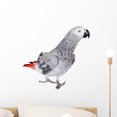 thumbnail image 1 of African Grey Parrot White Wall Mural by Wallmonkeys Peel and Stick Graphic (18 in H x 18 in W) WM71863, 1 of 4
