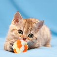 thumbnail image 4 of Bunte Plüsch-strengste Katze-Spielwaren Juguete para Gatitos con 7 Pompones, Pelota de Peluche Colorida para Gatos, Bolas Coloridas para Gatos con Campana, Pelota de Felpa para, 4 of 5