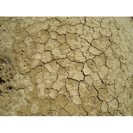 Cracked Desert Floor - LAMINATED POSTER Desert Summer Ground Cracked Drought Poster Print 24 x 36