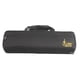 thumbnail image 1 of Bolsa para flauta, portátil, de tela Oxford, impermeable, para guardar flautas, protección para instrumentos musicales, bolso de hombro para flauta, 1 of 5