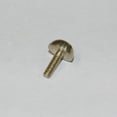 thumbnail image 1 of Conn Benge Bach King Rotor Swivel Head Trigger Stop Arm Retaining Screw - French Horn, Trombone, Tuba, 1 of 1