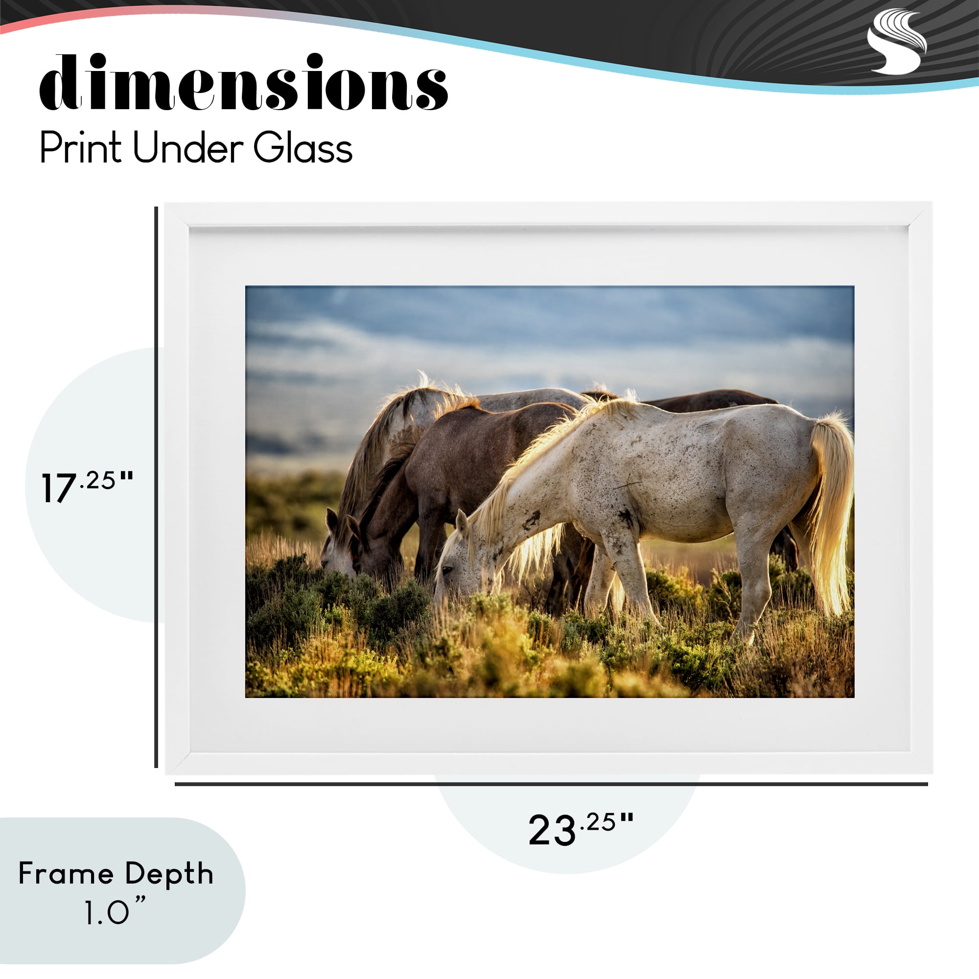 Stupell Industries Equine Evening Graze White Framed Print Under Glass, design by Tim West