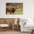 thumbnail image 3 of Stupell Industries Southwestern Scottish Highland Grazing Canvas Art, 36 x 24, by Crystal Lynn Collins, 3 of 8