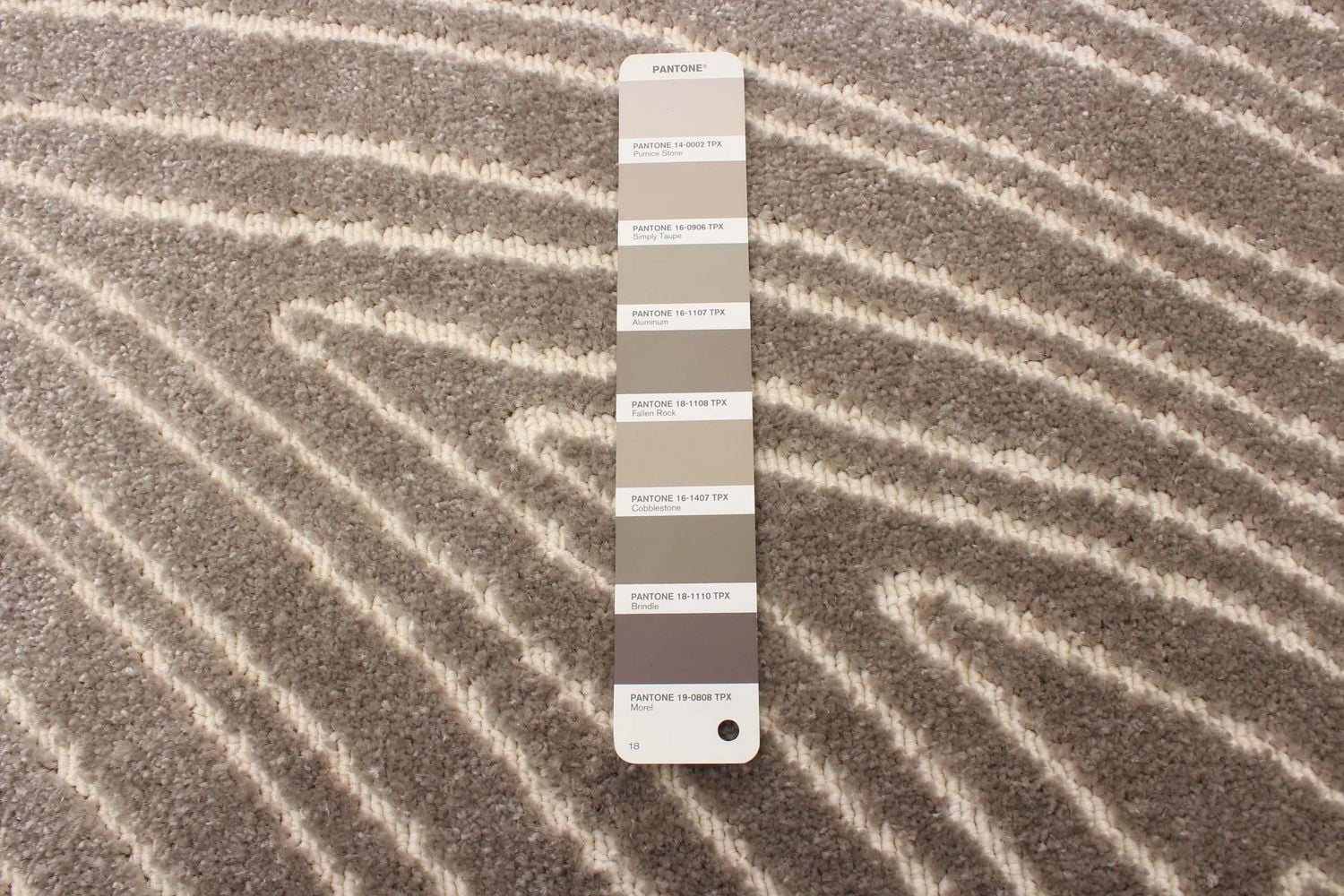 ECARPET Modern Area Rug for Dining Room, Living Room, Bedroom or Den Vector Taupe