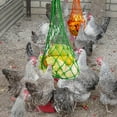 thumbnail image 5 of Chicken Vegetable String Bag Poultry Fruit Holder Chicken Cabbage Feeder Treat Feeding Tool with Hook for Hens Chicken Coop Toy for Hen Goose Duck, 5 of 7