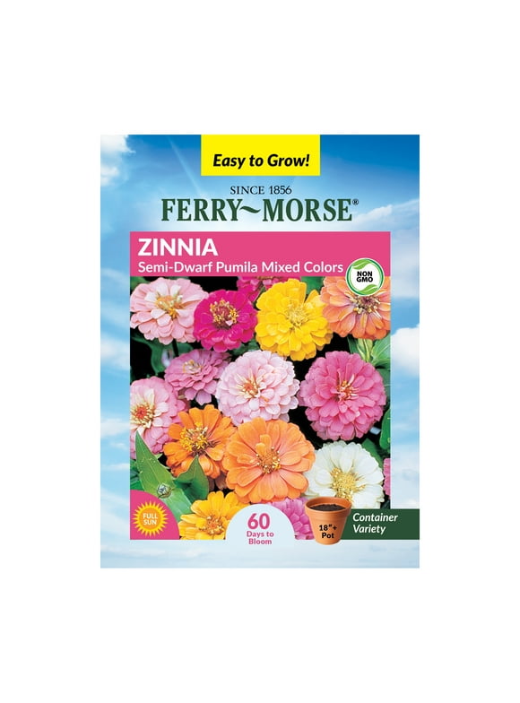 Zinnia Flower Seeds in Seed Gardening