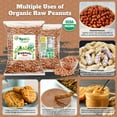 thumbnail image 2 of Rani Organic Peanuts, Raw Whole With Skin (uncooked, unsalted) 28oz (800g) ~ All Natural | Vegan | Gluten Friendly | Fresh Product of USA | USDA Certified Organic ~ Spanish Grade Groundnut/Red-skin, 2 of 9