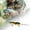 C, variant on Realistic 3D & Attractants for Trout and Catfish Fishing in Freshwater and Saltwater Environments