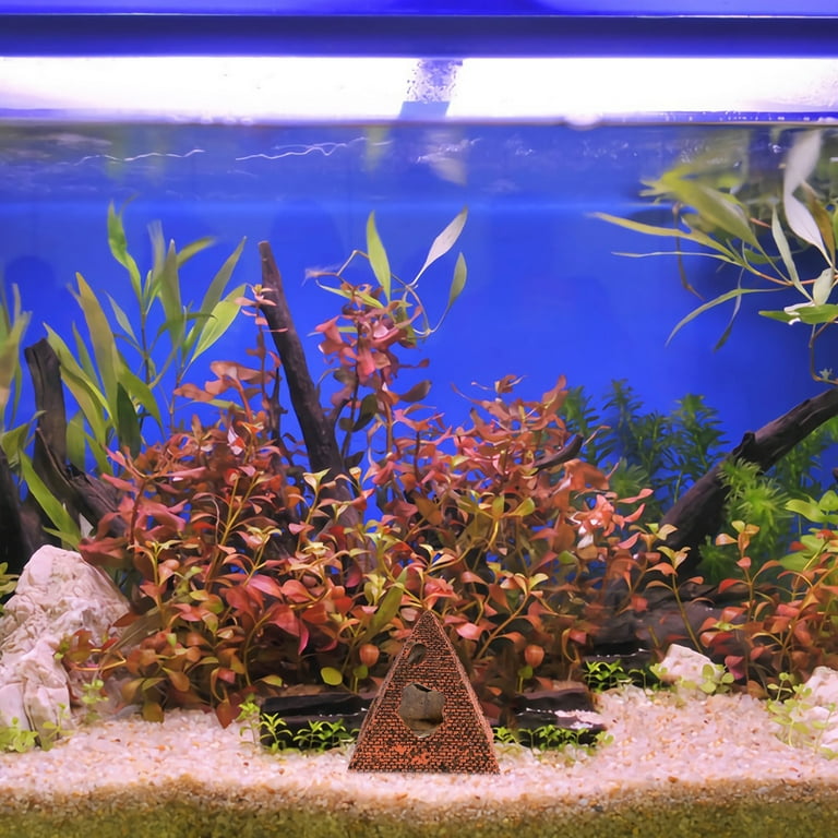 Shrimp tank outlet decorations