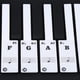 thumbnail image 5 of Piano Keyboard Sticker Piano Sticker Piano Key Board Sticker Removable Transparent Piano Sticker For 61/88 Key Electronic Pianos ANGGREK Removable Piano Stickers, 5 of 8