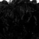 thumbnail image 5 of Peluca ondulada corta, peluca rizada decorativa, peluca para disfraz, peluca de cosplay, peluca de fiesta, 5 of 8