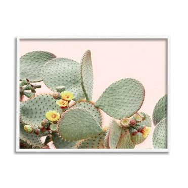 Stupell Industries Cactus Flowers on Pink Botanical & Floral Photography White Framed Art Print Wall Art, 14 x 11