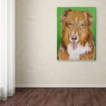 thumbnail image 3 of Trademark Fine Art "Dog on Green" Canvas Art by Pat Saunders-White, 3 of 3