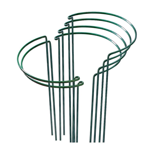 Paquete de 6 Estacas de Soporte para Plantas Anillo de Metal para Jardín para Peonía Tomate Rosa Vid Fácil de Usar y Almacenar ANGGREK Otros