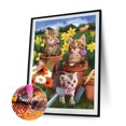 thumbnail image 2 of Wdftyju Kits de pintura de diamantes 5D DIY Pot Kittens Full Square Drill Wall (30x40CM) Wdftyju 7zk0kb2wp6sw9ys0D02, 2 of 9