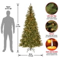 thumbnail image 4 of National Tree Company Pre-Lit Artificial Slim Christmas Tree, Green, Aspen Spruce, White Lights, Includes Stand, 7 Feet, 4 of 10