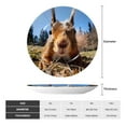 thumbnail image 2 of Sikiie Close-Up Curious Squirrel Bone China Decorative Plate Personality Ceramic Dinner Plate Crafts Decorative Ceramic Decorative Plate -8in, 2 of 6