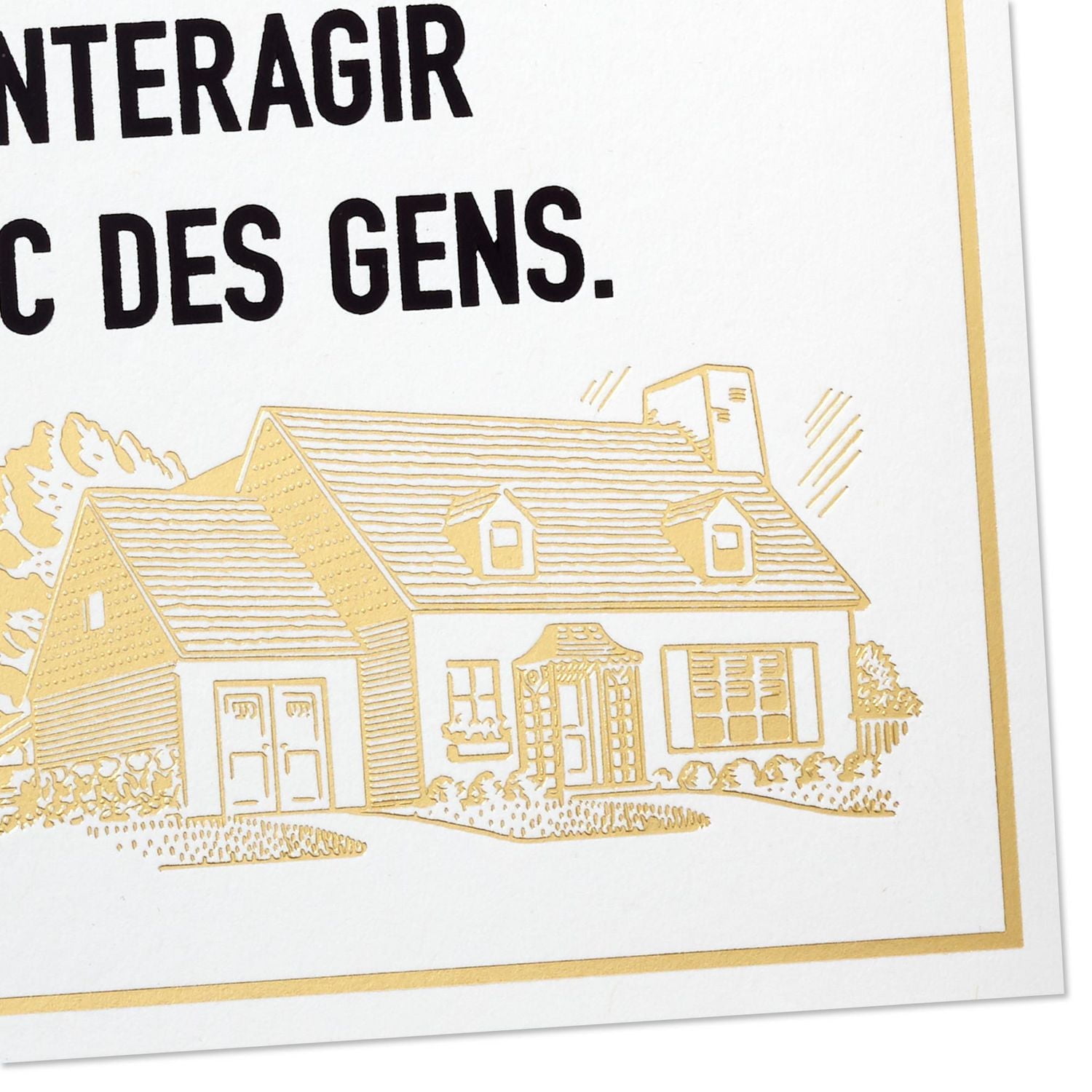 Hallmark Funny Birthday Card (Leave the House)