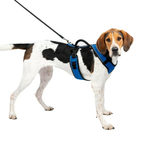 UPC: 0729849144613 | PetSafe EasySport Dog Harness  Comfortable Padding  Reflective  Large  Blue