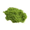 thumbnail image 2 of Bloques de artificial para bricolaje, micropaisaje, plantas simuladas, plantas en maceta, manualidades para césped de , acentos del Verde claro, 2 of 8