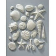 Cake Decoration Gum Paste Seashells- White -Pack of 18