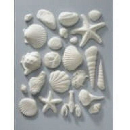 Cake Decoration Gum Paste Seashells- White -Pack of 18