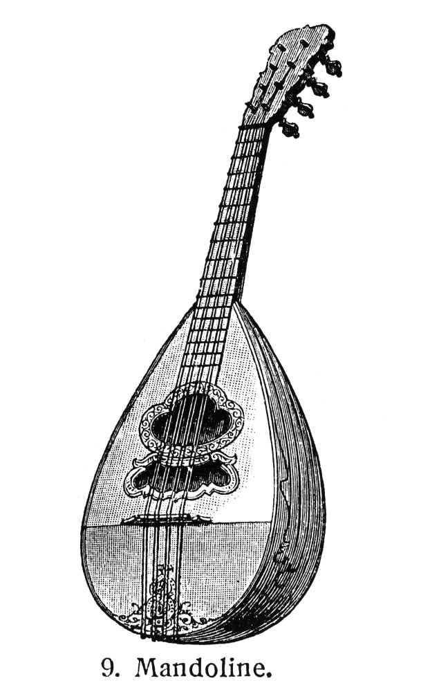 Лютня рисунок карандашом