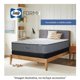 thumbnail image 4 of Colchón Queen Size Sealy FORM-I Runner, 4 of 4