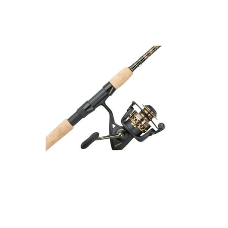 Penn Battle II Spinning Reel and Fishing Rod (Best Rod And Reel For Saltwater Pier Fishing)