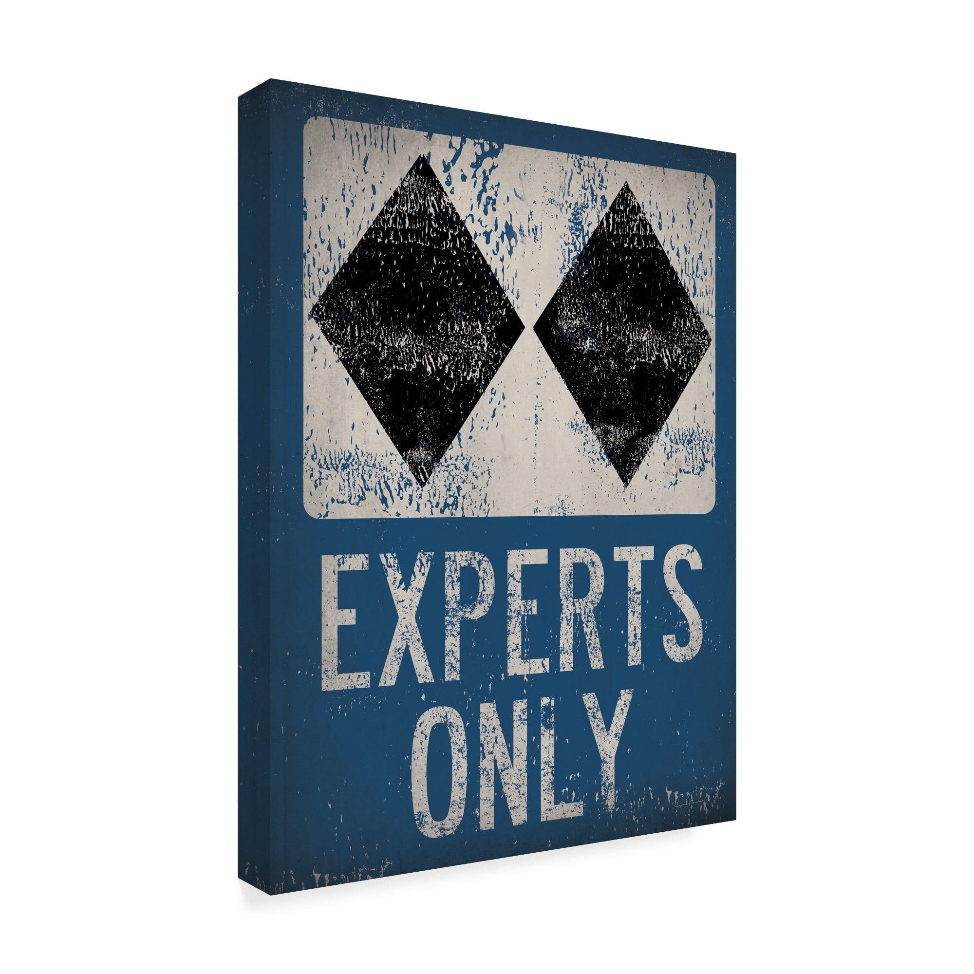 Trademark Fine Art 'Experts Only Blue' Canvas Art by Ryan Fowler