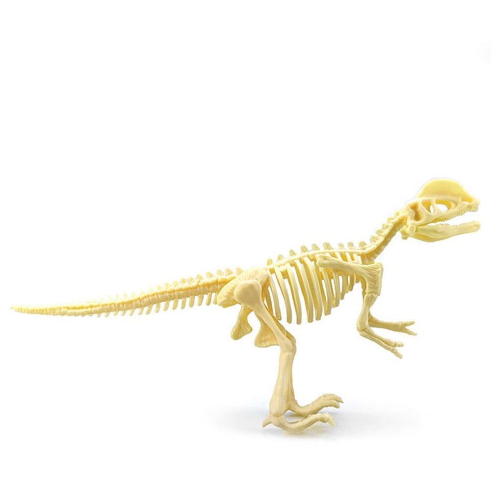 Diy Dinosaur Skeleton Model Toy Dinosaur Building Blocks Ornaments 3d Assembly Educational Toys